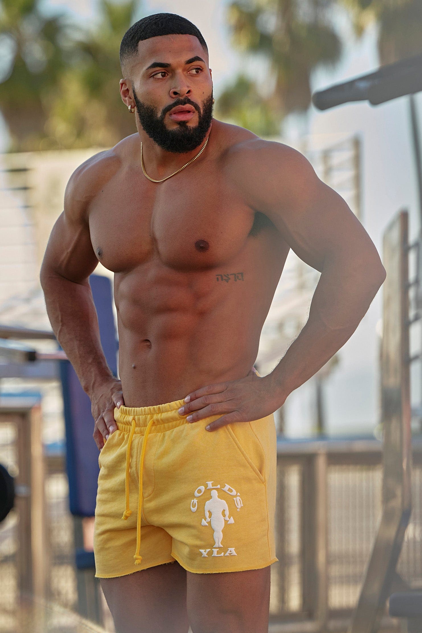 1132 - Golds Gym Bodybuilding Shorts - Image 3