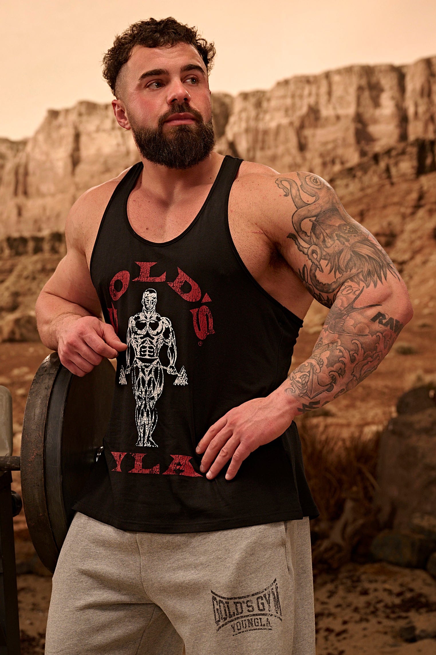 3003 - Gold's Iron Legacy Icon Stringers - Image 3