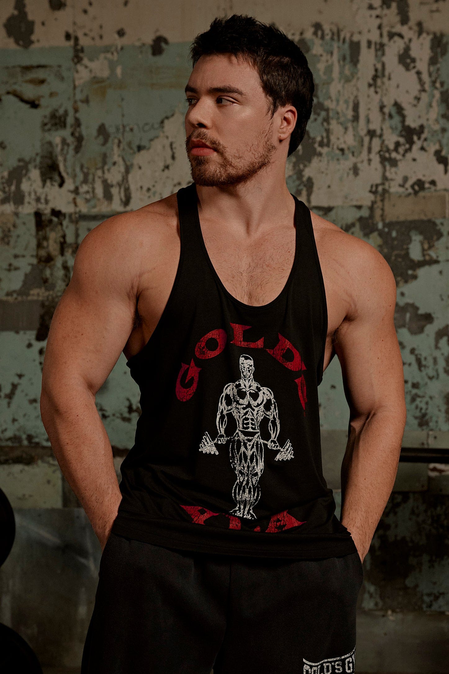 3003 - Gold's Iron Legacy Icon Stringers - Image 2